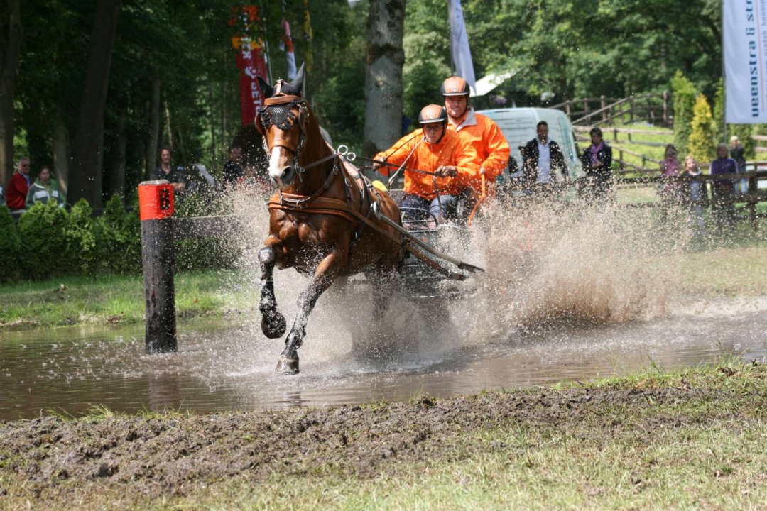 Fotografie Fotografie